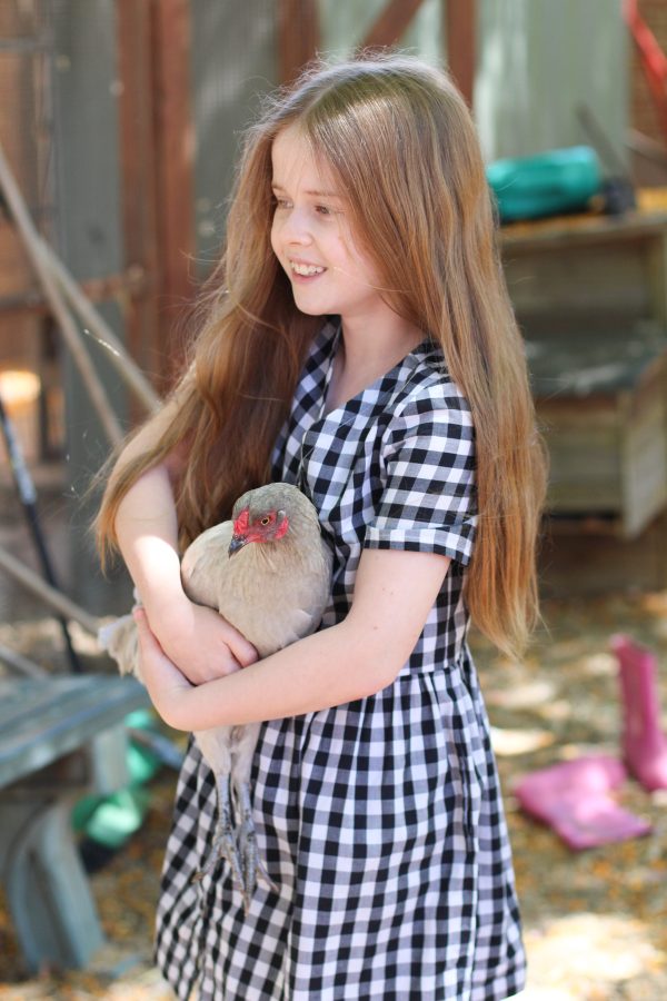 Darling Chickens | Mini Darling Ranges dress made from checked cotton | Megan Nielsen Blog