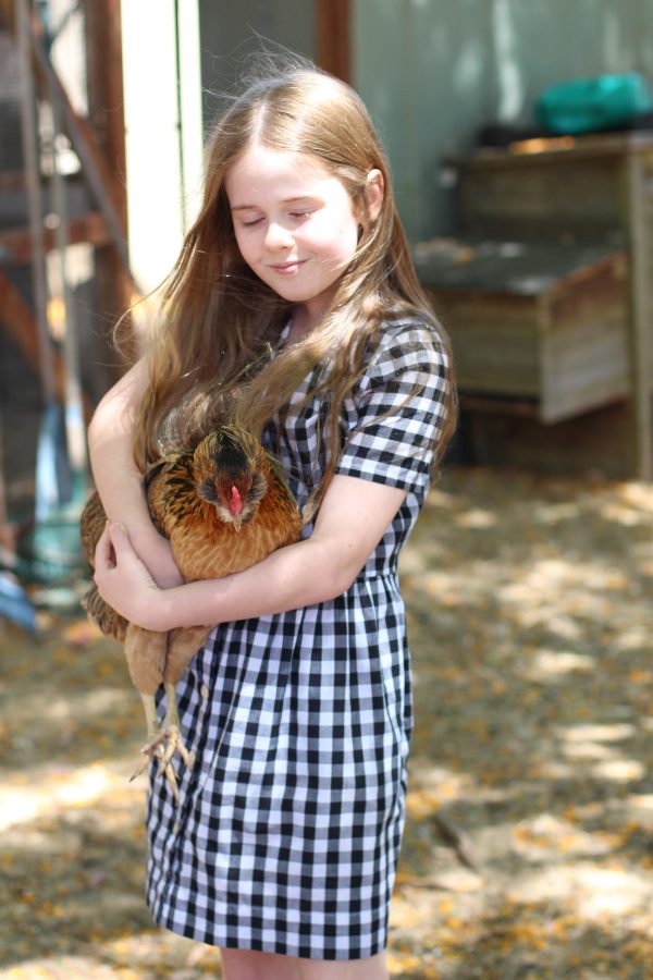 Darling Chickens | Mini Darling Ranges dress made from checked cotton | Megan Nielsen Blog