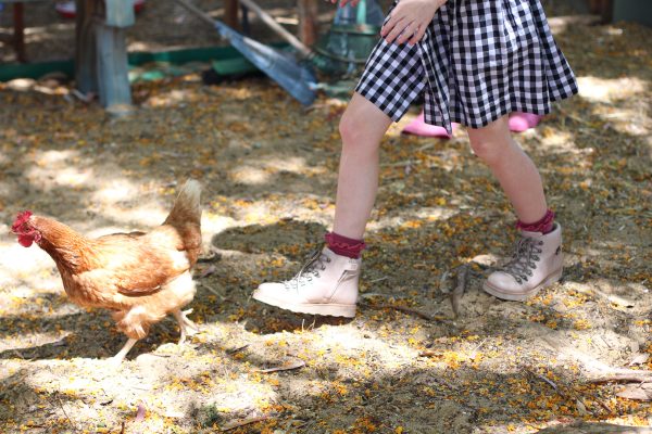 Darling Chickens | Mini Darling Ranges dress made from checked cotton | Megan Nielsen Blog