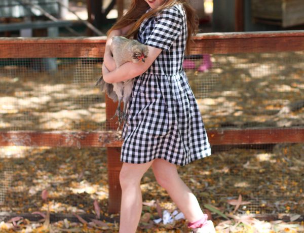 Darling Chickens | Mini Darling Ranges dress made from checked cotton | Megan Nielsen Blog