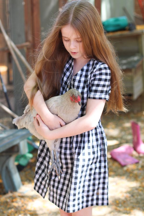 Darling Chickens | Mini Darling Ranges dress made from checked cotton | Megan Nielsen Blog