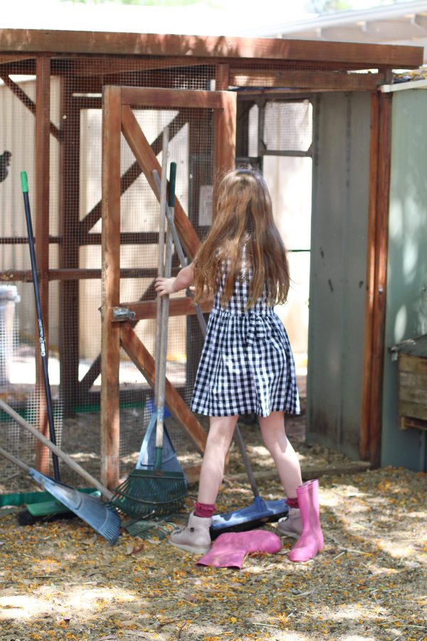 Darling Chickens | Mini Darling Ranges dress made from checked cotton | Megan Nielsen Blog