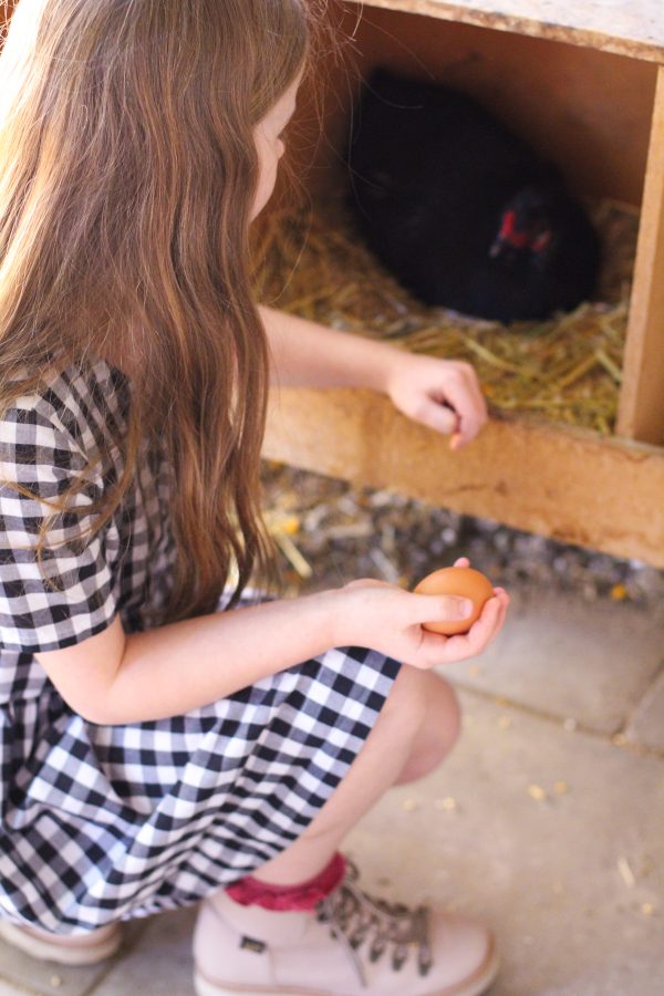 Darling Chickens | Mini Darling Ranges dress made from checked cotton | Megan Nielsen Blog