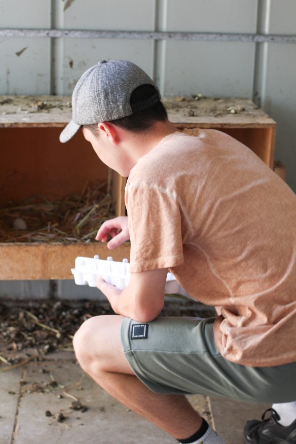 Repairing a ripped tee with Sashiko | Megan Nielsen Patterns Blog